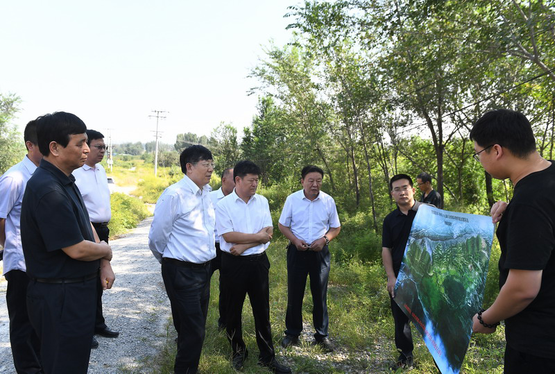 周金中实地查看了徐水区象山"白茬山"治理区,满城区大册营镇上紫口和